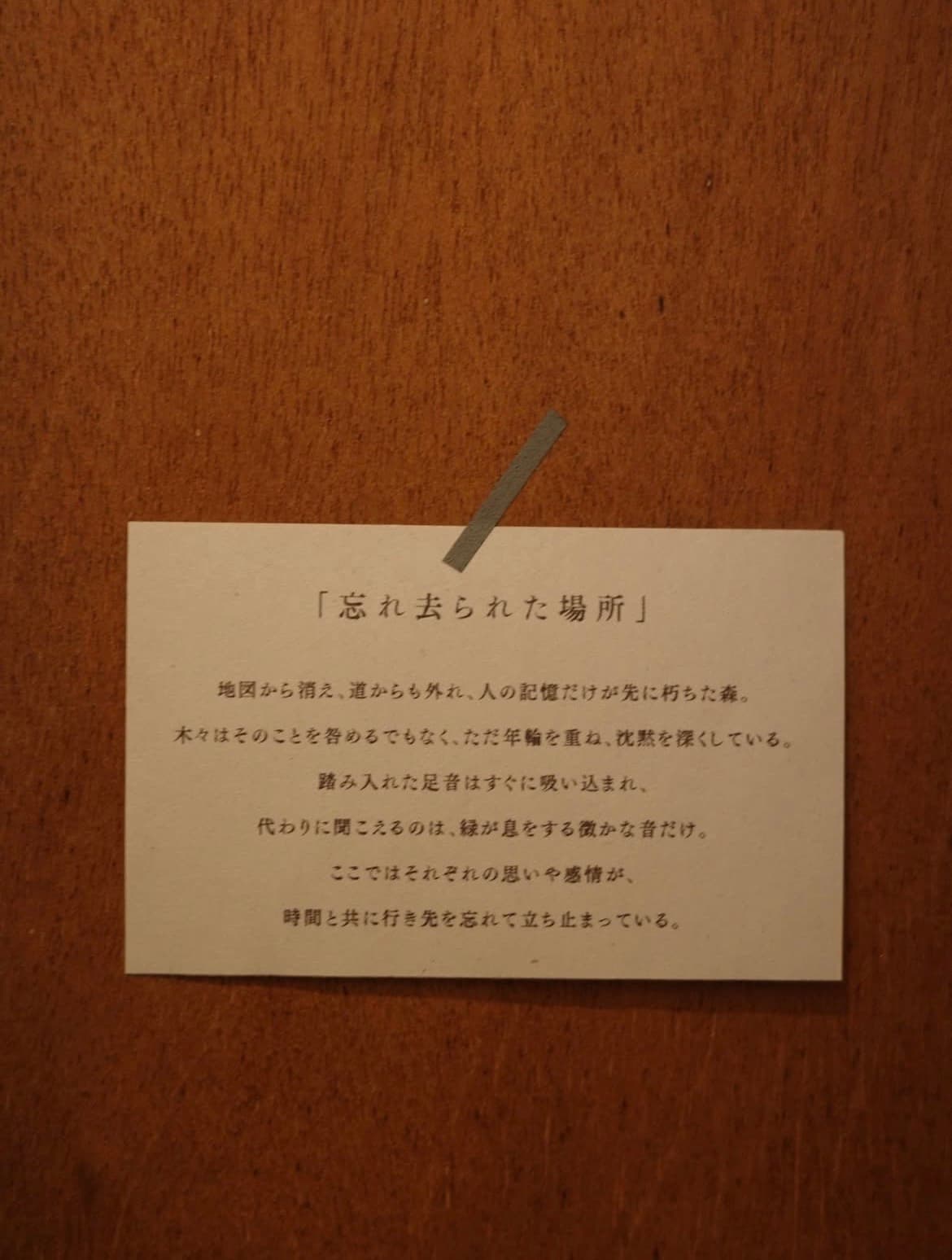 教授の休日の写真 12