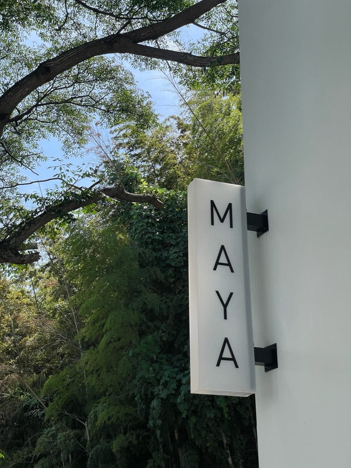 MAYA DRIVE CAFEの写真 11