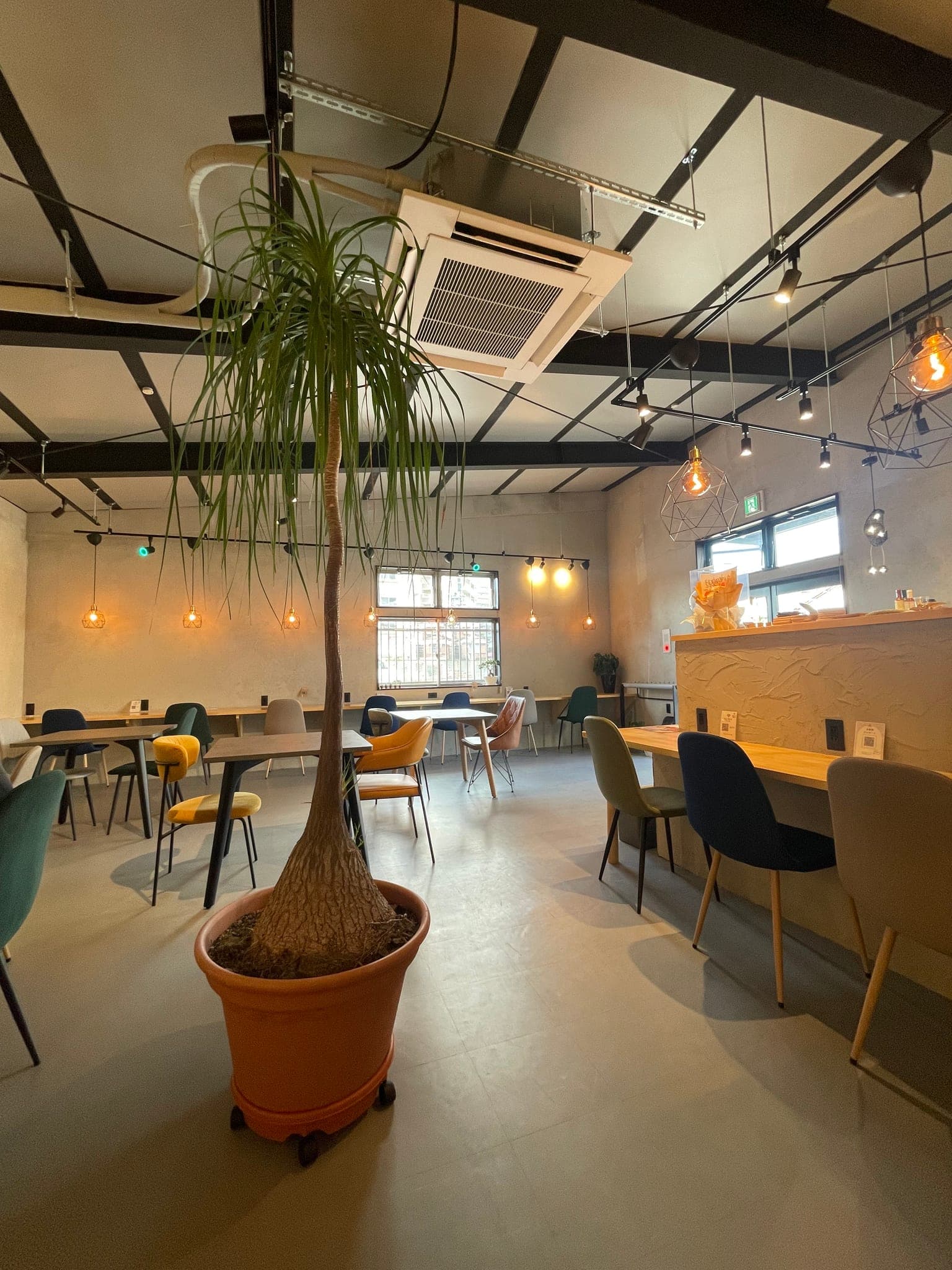 cafe faroの写真 6