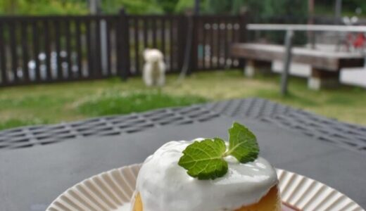 姪の浜の「憩いの場」ペットとカフェ時間を楽しめるテラス席も人気｜Stong Cafe（ストングカフェ）