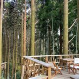 【糸島カフェ】自然に囲まれた絶景のツリーハウステラス｜森のカフェ 緑の詩（みどりのおと）