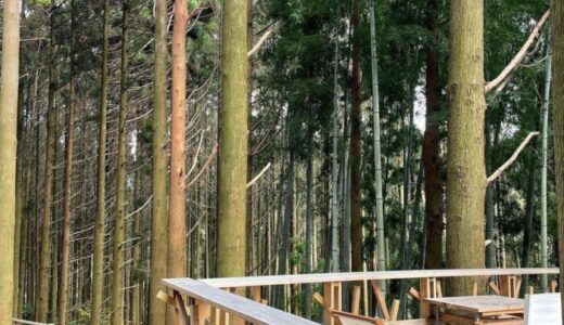 【糸島カフェ】自然に囲まれた絶景のツリーハウステラス｜森のカフェ 緑の詩（みどりのおと）