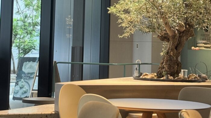 福岡市博多区にあるカフェ「THE ALLDAY ORTO」の店内